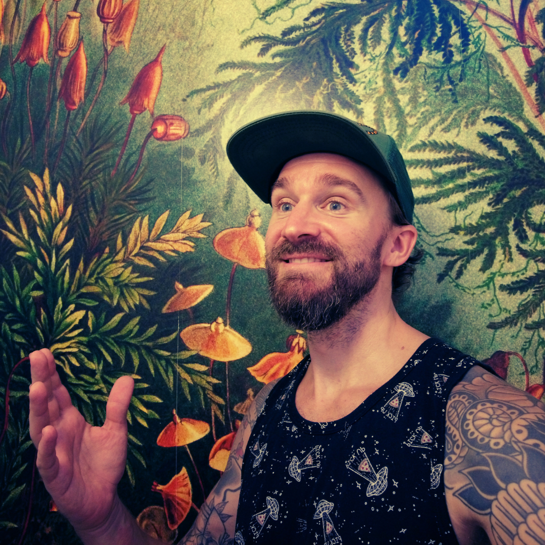 Simo D