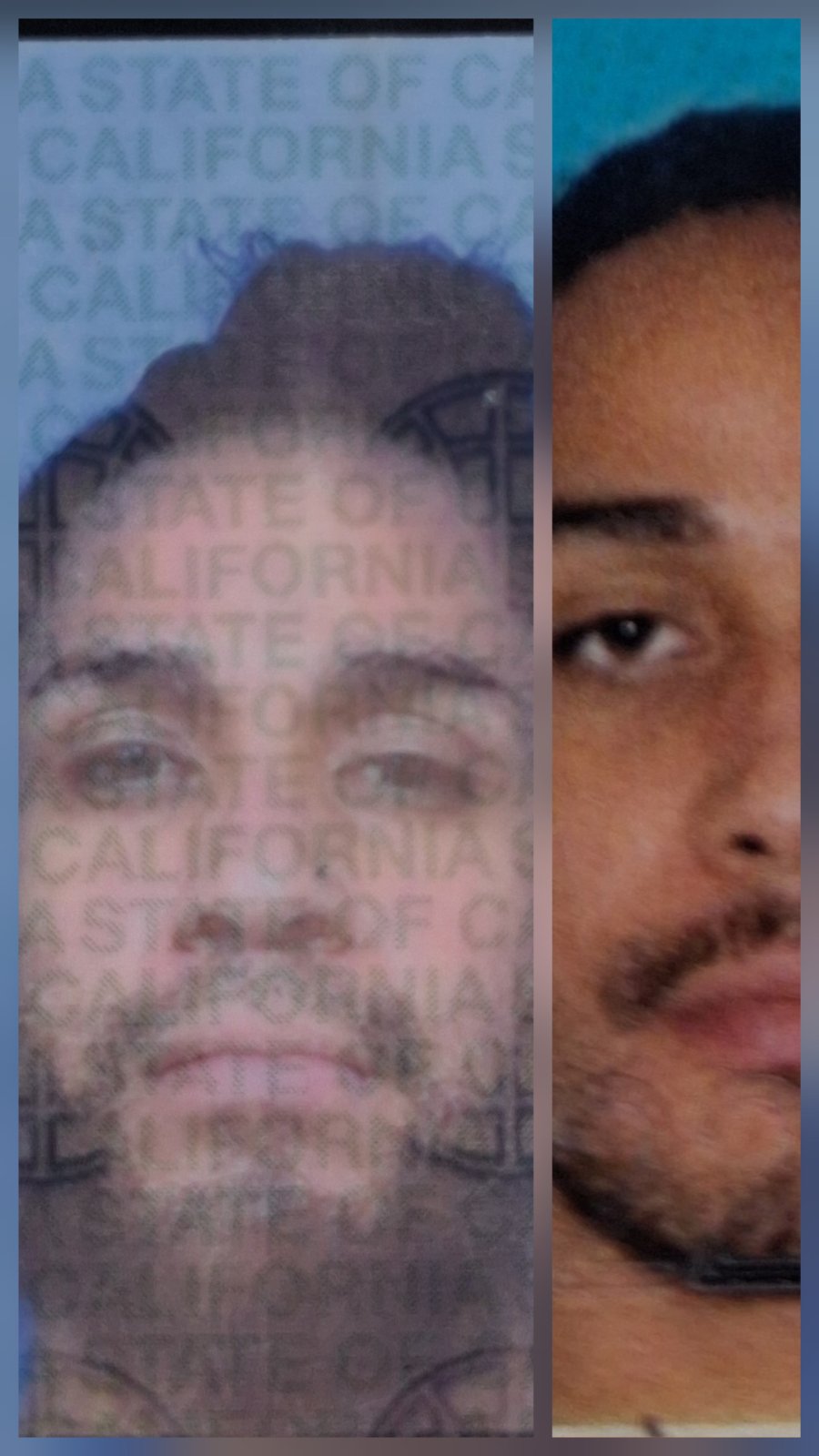Michael  Martinez 