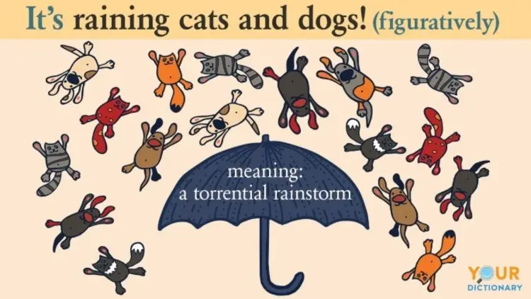 Illustration of “it’s raining cats and dogs” showing how rhetorical devices are figures of speech used to describe heavy rain in a creative way