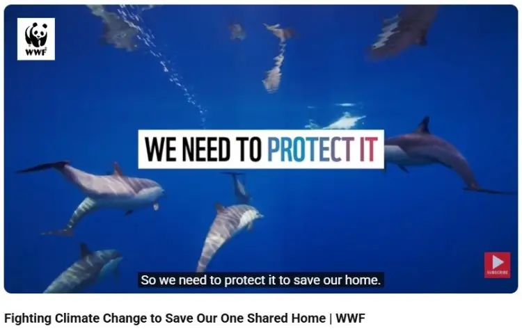 WWF climate change video showing dolphins underwater with the message “We need to protect it,” demonstrating an emotional appeal used in environmental campaigns.