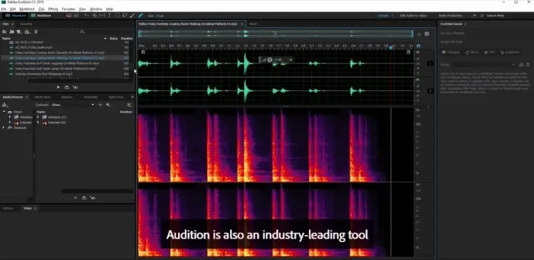 Audio editing example showing Adobe Audition interface with waveform and spectral frequency display for detailed sound editing.