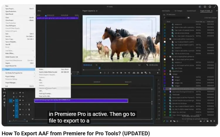 Adobe Premiere Pro export screen used for multimedia editing and audio production workflows