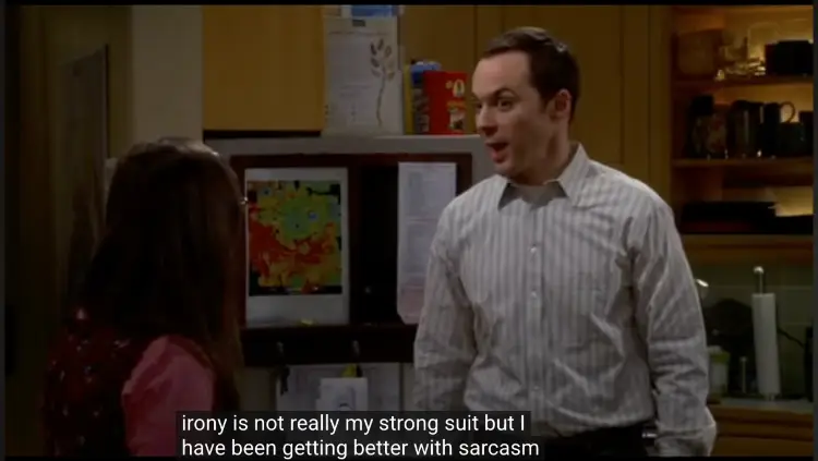 Comedy scene discussing irony and sarcasm as examples of verbal and dramatic techniques used in storytelling